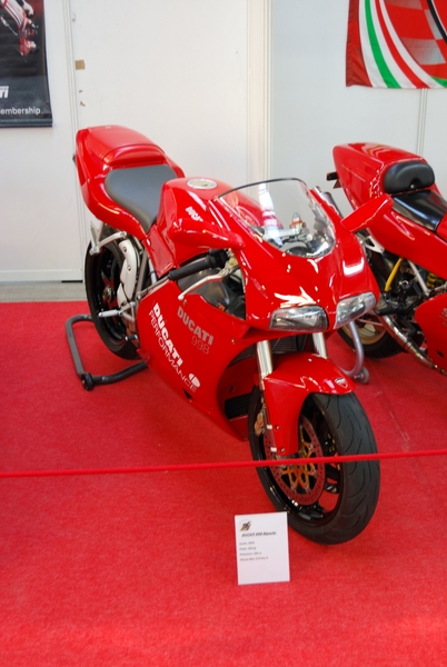 Puce_Niort_2009_016 [800x600].jpg